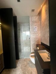 OUE Twin Peaks (D9), Condominium #505078381